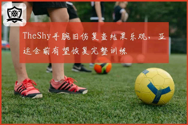 TheShy手腕旧伤复查结果乐观，亚运会前有望恢复完整训练