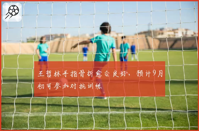王哲林手指骨折愈合良好，预计9月初可参加对抗训练