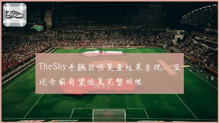 TheShy手腕旧伤复查结果乐观,亚运会前有望恢复完整训练